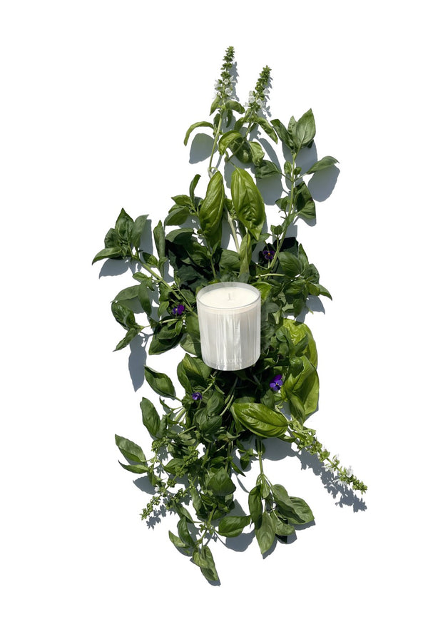 FINO VERDE