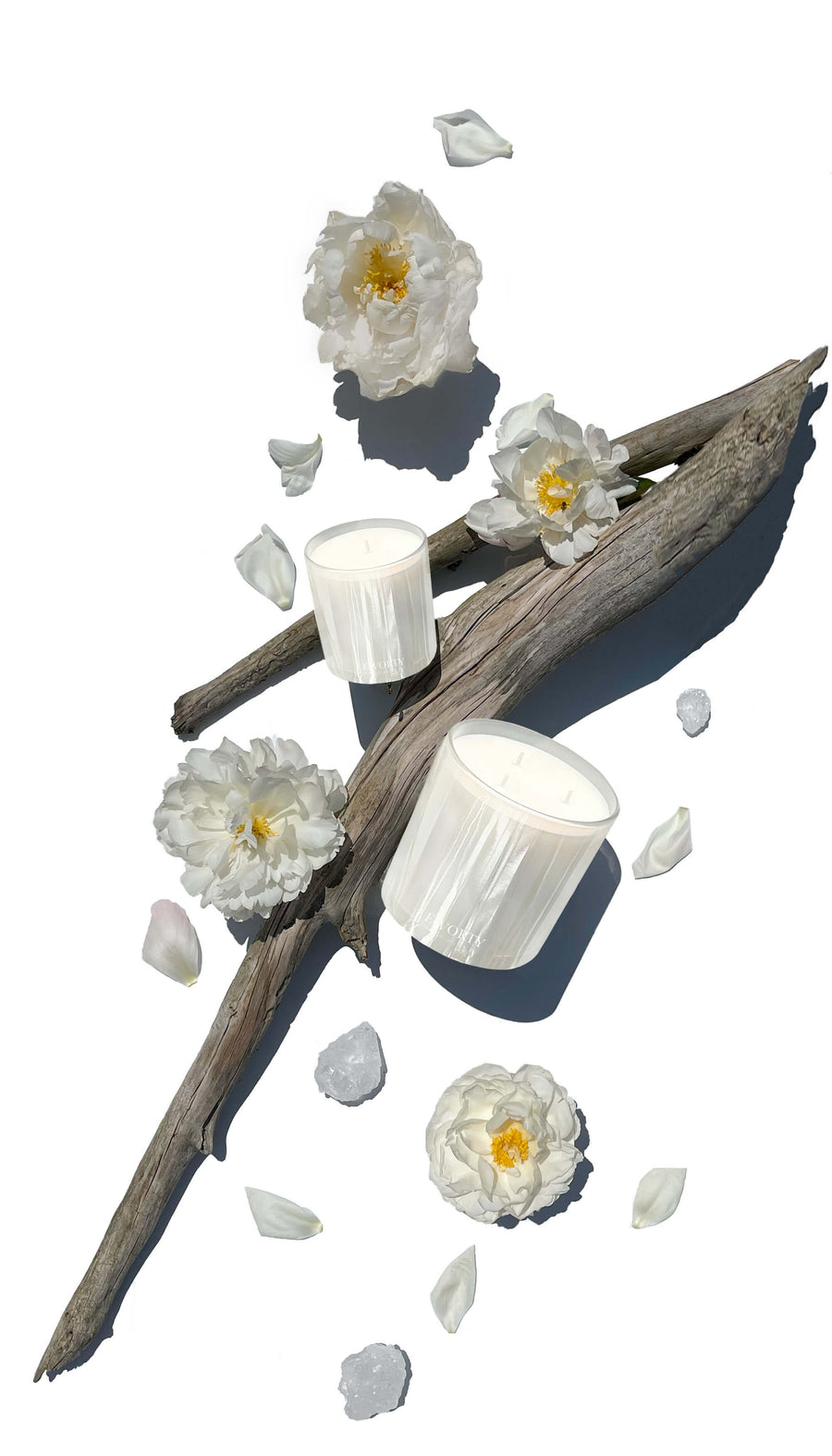 FLEUR DE SEL